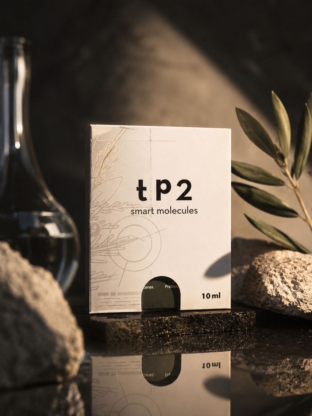 TP2